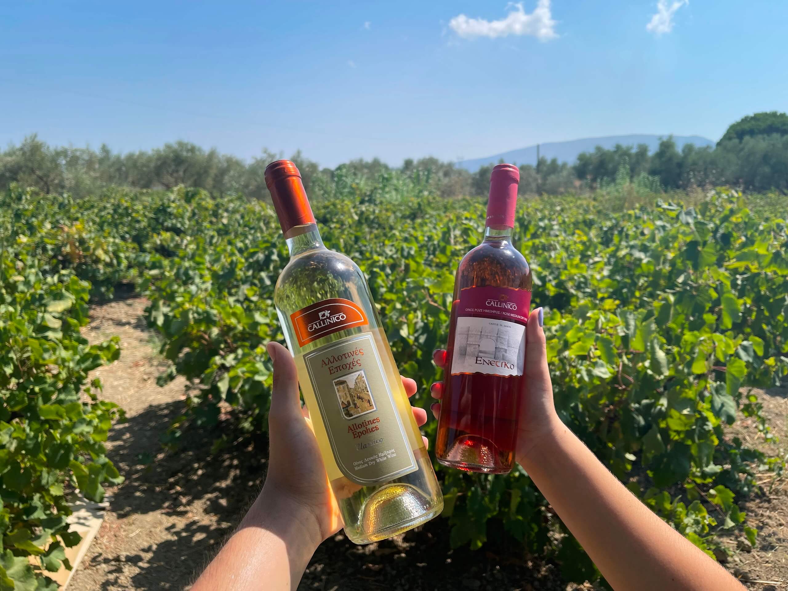 Callinico Winery Zakynthos Zante Indigenous Wine Varieties